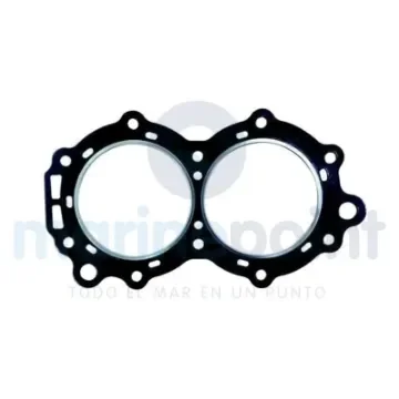 Cylinder Head OMC Evinrude - REC307069 product image