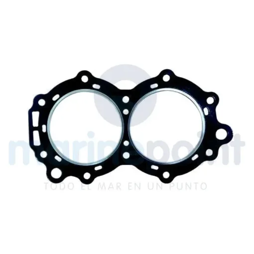 Cylinder Head OMC Evinrude - REC307069 product image