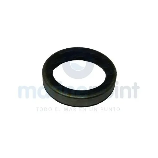 Evinrude Retainer - REC321467 product image