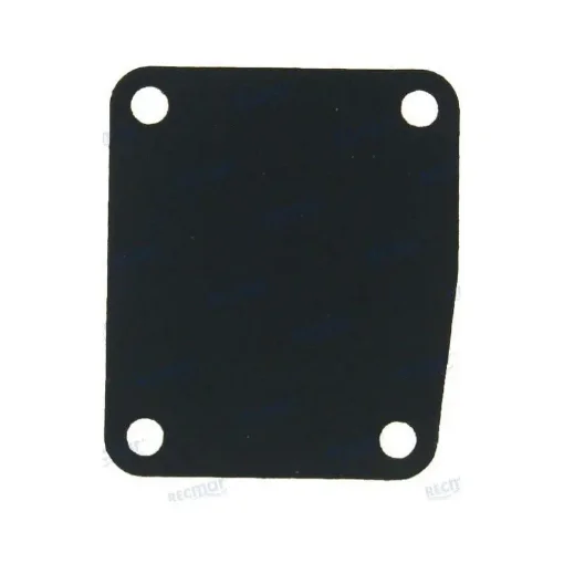 Fuel Pump Membrane - REC63V-24411-00 product image