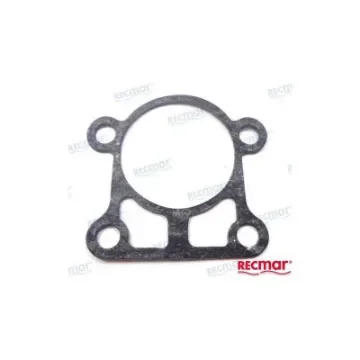 Water Pump Gasket - REC663-44316-A0 product image