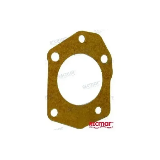 Fuel Pump Gasket - REC648-24434-01 product image