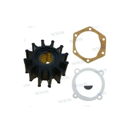 CEF - Jabsco 4568 Turbine - CEF500108CGT product image