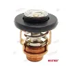 50-60°C Thermostat Replacement - REC6AH-12411-00 product image