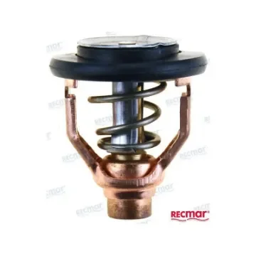 Yamaha Thermostat 60º - REC6AW-12411-00 product image