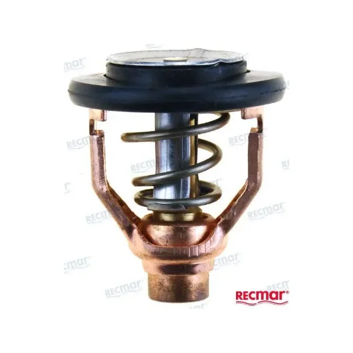 Yamaha Thermostat 60º - REC6AW-12411-00 product image