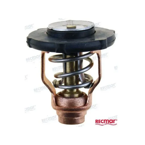 Yamaha Thermostat - 6FP-12411-00 product image