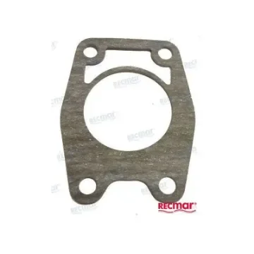 Water Pump Gasket - REC679-44316-A0 product image