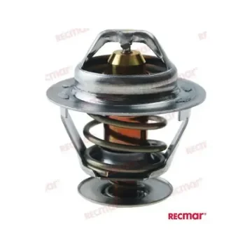 Mcm Thermostat - REC879150054 product image