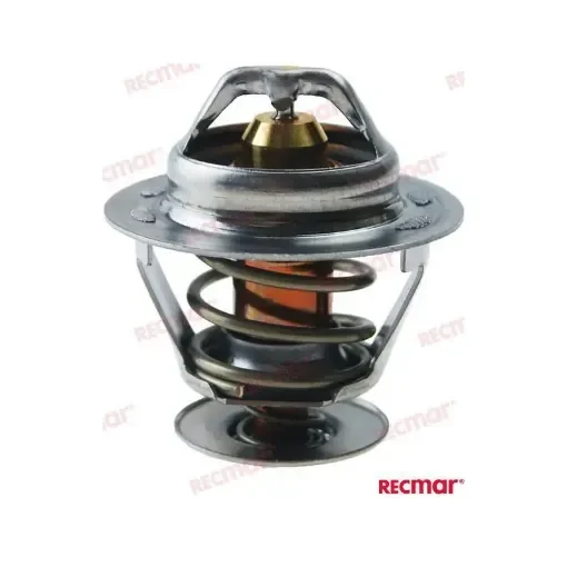 Mcm Thermostat - REC879150054 product image