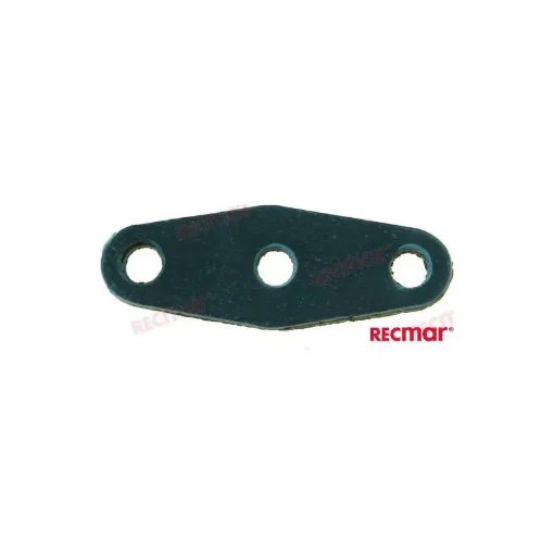 Fuel Pump Gasket - REC303615 product image