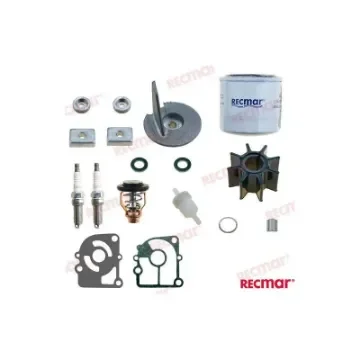 Mercury Maintenance Kit - RECKITMER15 product image