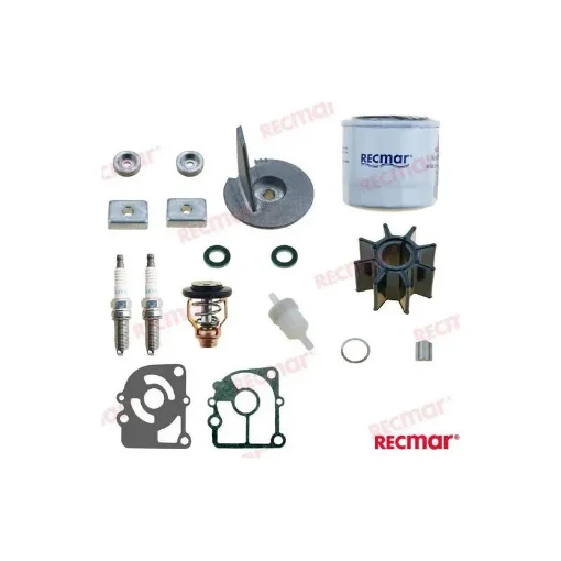 Mercury Maintenance Kit - RECKITMER15 product image