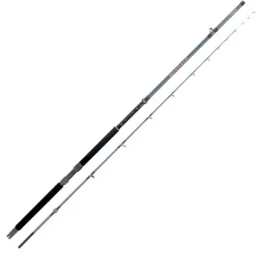 Colmic - FONDALE Bottom Fishing Rod 250cm 1300g - CAF055A product image
