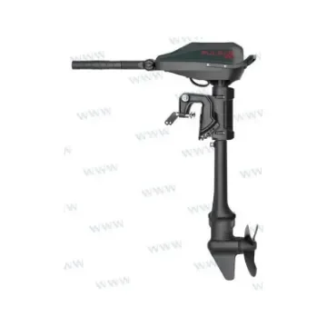Pulsar - Haswing Outboard Motor Electric 48V 12 Hp - HE50732 product image