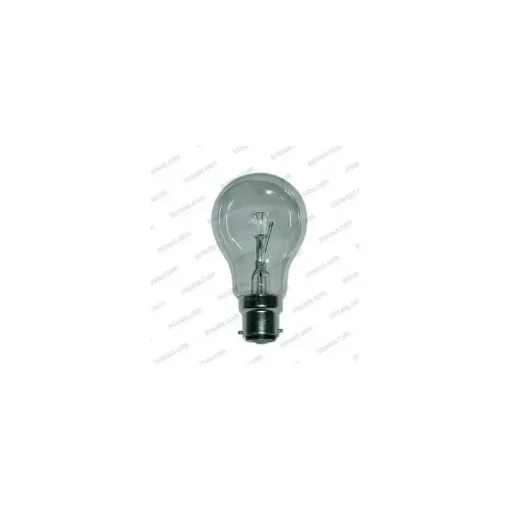B22 Bulb 24V 40W Ideal for Boats and Caravans - 65100187 product image