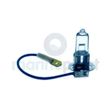 Hella Marine Bulb PK22S 24v 70w - 67000259 product image