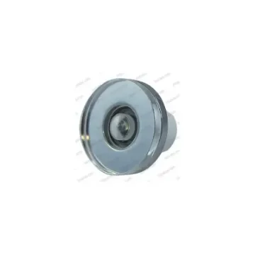 Interior Warm White LED Courtesy Light - 65335220 product image