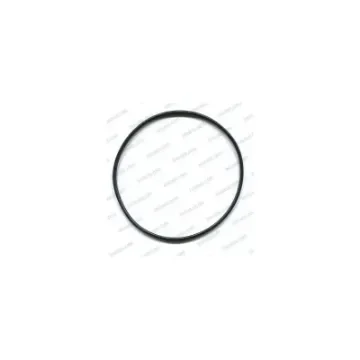 Gasket for 1-1/4” Nautical Filter - 43250264 product image