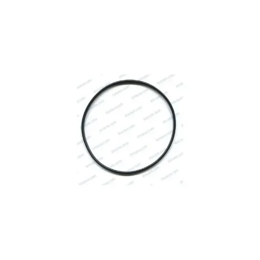 Gasket for Marine Filter - 43250271 product image