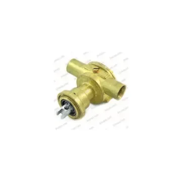 Johnson F35B-9 Water Pump Motor - 10-35015-2 product image