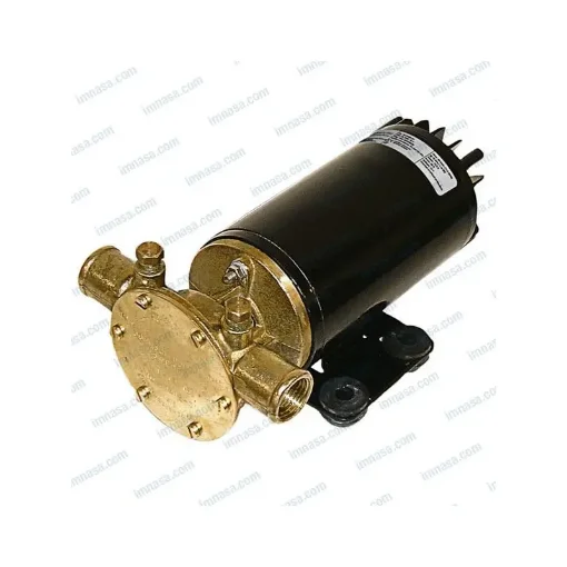 Johnson - F4B19 Pump Repair Kit - 98000613 product image