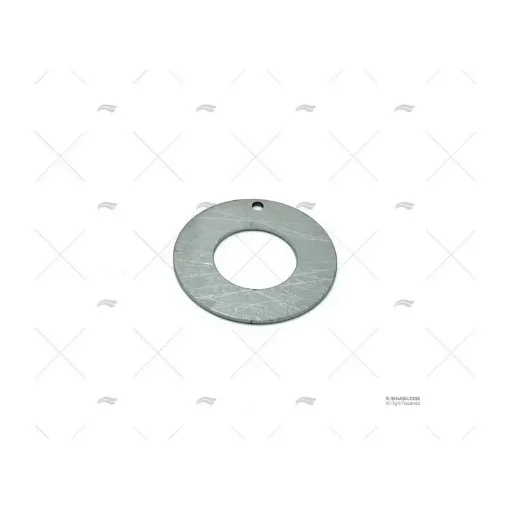 Johnson - Stainless Steel Wear Disc for F7B Pump - 98000982 product image