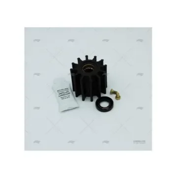 Johnson - F6B-9 Pump Repair Kit - 98000994 product image