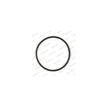 Johnson O-Ring for Water Pumps - 98001914 product image