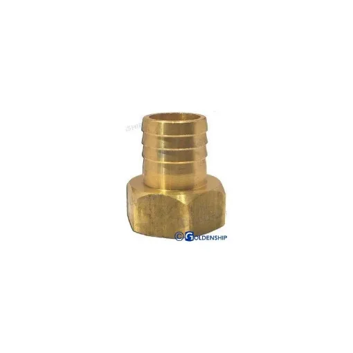 2" Female Brass Coupling - GS30276 product image