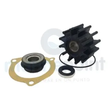 Complete Repair Kit for M71 Cummins Sherwood Pump - SHE12394 product image