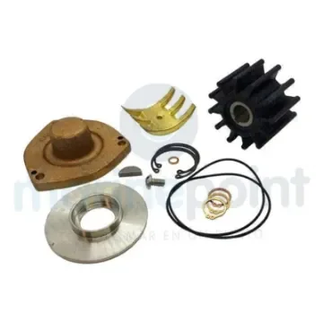 Sherwood - Major Repair Kit for Pump - SHE22276 product image