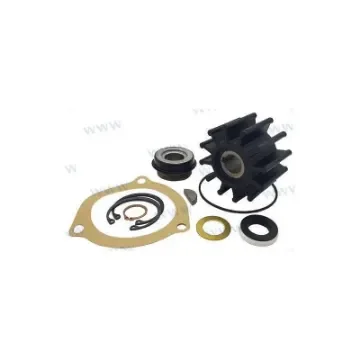 Sherwood Minor Repair Kit for M71 Pump - SHE23976 product image