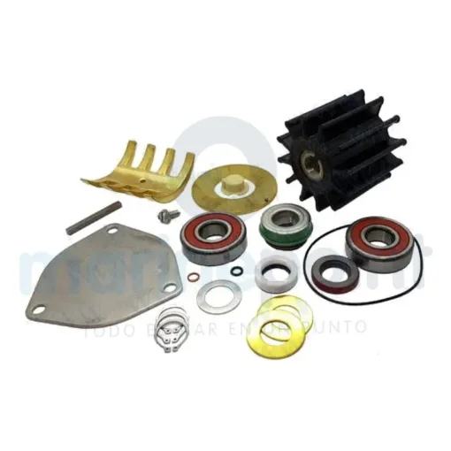 Sherwood Major Pump Repair Kit - SHE23975 product image