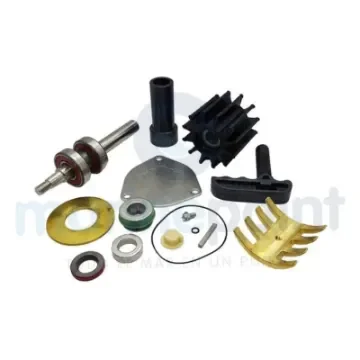 Major Repair Kit for Sherwood Pump - SHE25121 product image