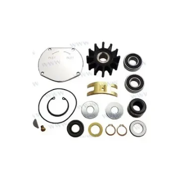 Sherwood Major Repair Kit for Pumps - SHE25196 product image