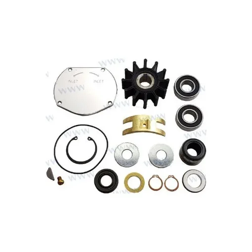 Sherwood Major Repair Kit for Pumps - SHE25196 product image