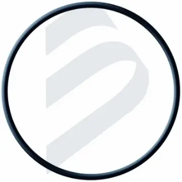 O-Ring for Filters, 42.5 X 62 Mm - 231065 product image