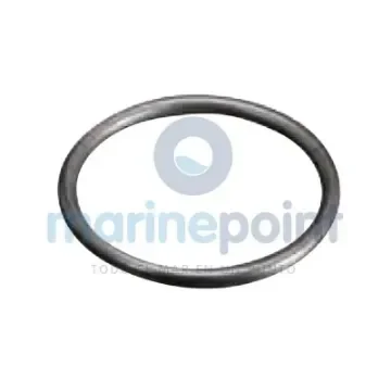 Rubber Gasket for Iseo T-1 Water Filter - GS30422 product image