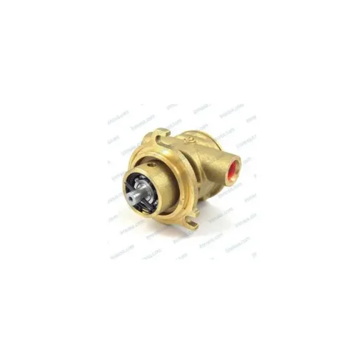 Johnson Cooling Pump F5B-9 - 98000297 product image
