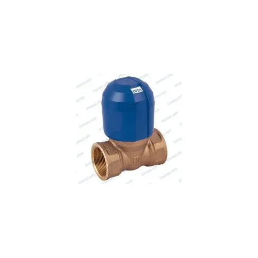 Guidi 1" Bronze Anti-Block Valve for Water Intake - 43250645 product image