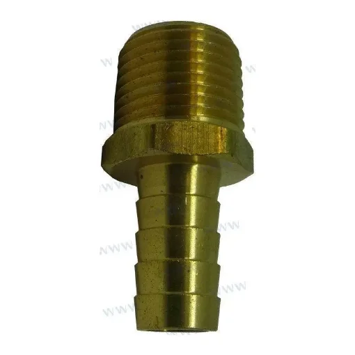 Racor Bronze Hose Fitting 1/2 Inch - BRA125-1/2X1/2 product image