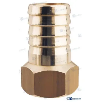 Maestrini 1/2" X 20 Female Chrome-Plated Brass Fitting - GS30832 product image