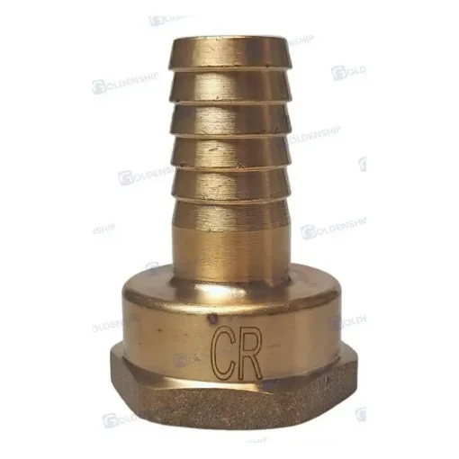 Maestrini - 1" x 20 Chromed Brass Female Coupling - GS30868 product image