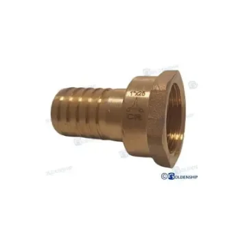 Maestrini - 1" x 25 Chromed Brass Female Coupling - GS30869 product image