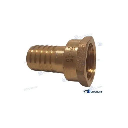 Maestrini - 1" x 25 Chromed Brass Female Coupling - GS30869 product image