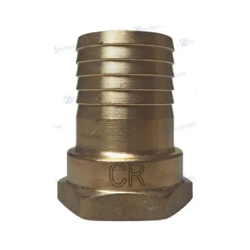 Maestrini - Entronque Cr Brass 1" 1/4 X 38 Female - GS30871 product image