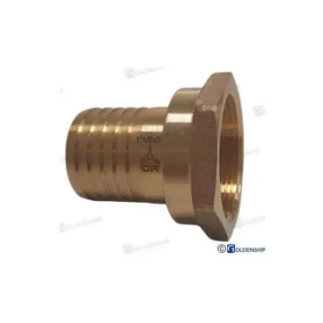 Maestrini - Entronque Cr Brass 1" 1/2 X 38 Female - GS30872 product image