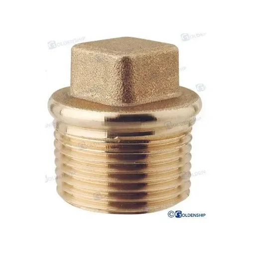 Maestrini Square Thread Plug, Brass Cr, 1/2" - GS30908 product image