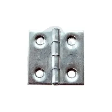 Stainless Steel Hinge P&S 110067 - 127069 product image